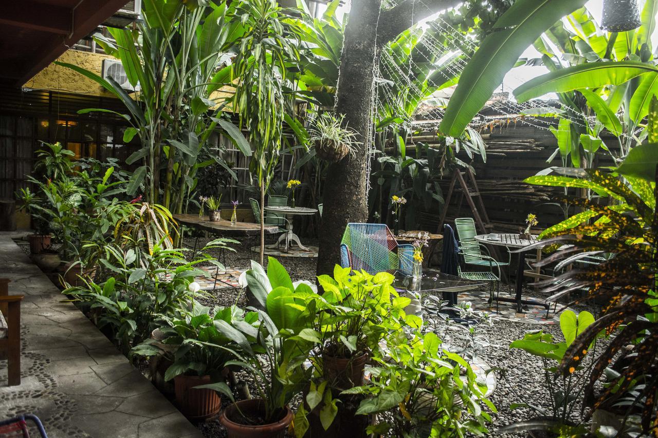 Casa De Palos Boutique Tarapoto Exterior photo